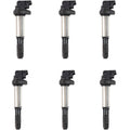 6PCS Ignition Coils for BMW 3 5 7 Seires E46 E39 E60 E61 E65 E66 12131712219