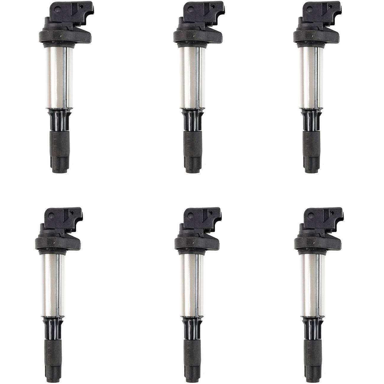 6PCS Ignition Coils for BMW 3 5 7 Seires E46 E39 E60 E61 E65 E66 12131712219