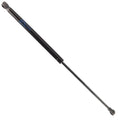 Rear Hatch Liftgate Lift Supports Trunk For A4 Quattro 1998-2001 A4 1998-2000 S4